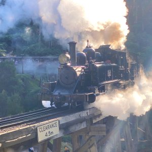 puffing billy.JPG