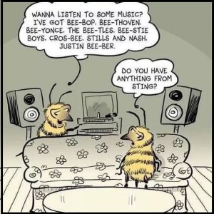 song Bee music sting.jpg