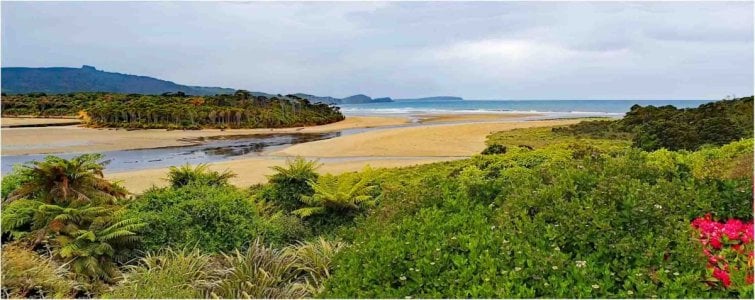 Where the Tahakopa River meets the sea_Papatowai-Sthern NZ copy.jpg