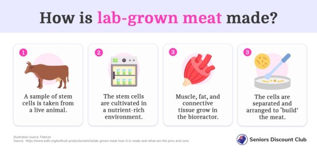 How is lab-grown meat made_ (2).jpg