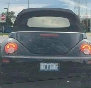 car eeew a bug.jpg