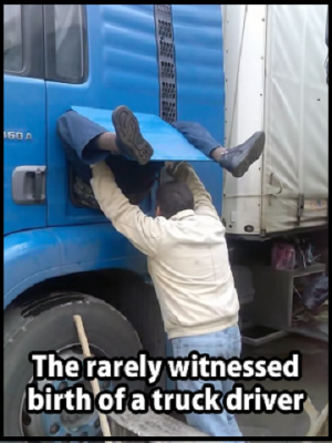 Truck Driver birth.png