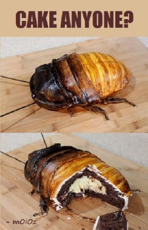 Cake Cockroach.jpg