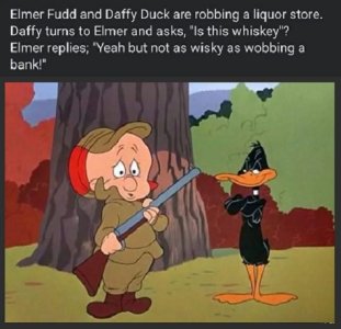 daffy and elmer rob.jpg