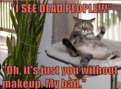 Cat dead people.jpg