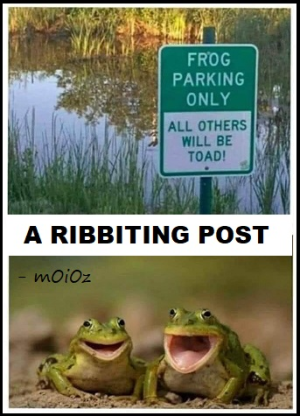 1688157902102.png
