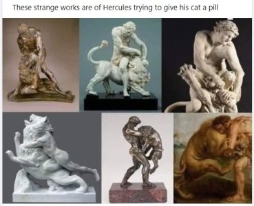Hercules giving his cat  a pill.jpg