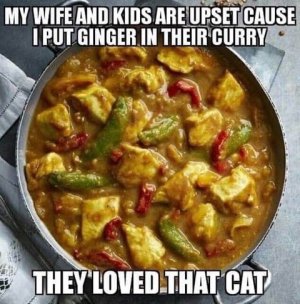 Cat curry.jpg
