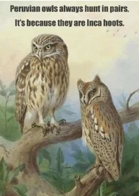 Peruvian Owls.jpg