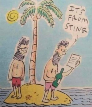 Sting.JPG