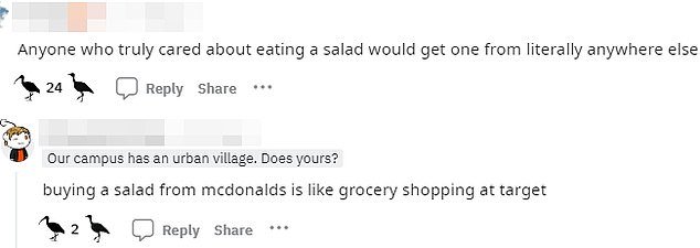 salad4.jpg