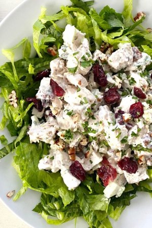 cranberry-chicken-salad-6-1-1024x1536.jpg