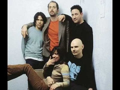 Zwan.jpg