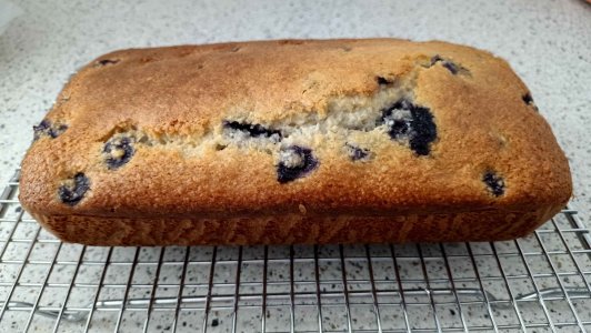 blueberry cake.jpg