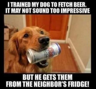Dog Trained.JPG