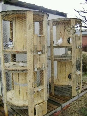 WoodenSpoolDIY_ChickenCoop.jpg