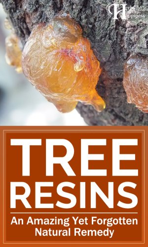 Tree-Resins-An-Amazing-Yet-Forgotten-Natural-Remedy-WP.jpg