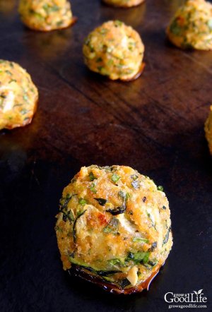 zucchini-garlic-bites-vert.jpg