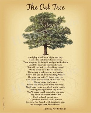 Oak Tree Poem Inspirational Wall Art Print  Tree of Life - Etsy.jpeg.jpg