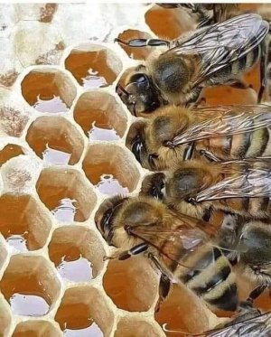 375311320_122096360672036989_7986779156130951948_n.jpg 375311320_122096360672036989_7986779156130951948_n.jpg