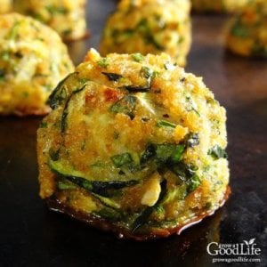 zucchini-garlic-bites-square-400x400.jpg