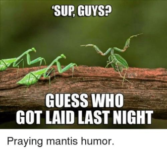 1694581548405.png