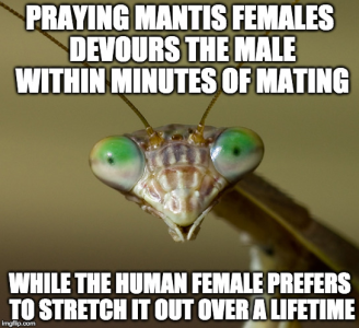 1694581713649.png