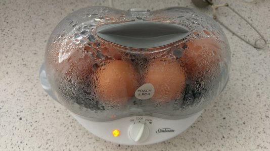 Egg Cooker.jpg