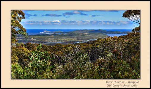 Normalup Inlet_Walpole_Karri Forest SW Aust copy.jpg