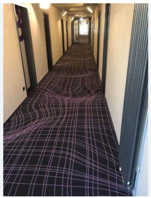 3D carpet.jpg