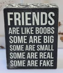 Friends are like boobs.jpg