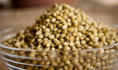 coriander-390708_1280.jpg