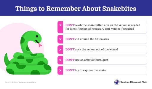 Things to Remember About Snakebites.jpg