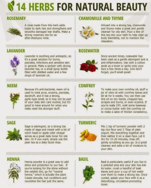 Some natural herbs that are very beneficial for beauty_ You can take good care of you by using...jpg
