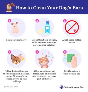 How to Clean Your Dog’s Ears.jpg