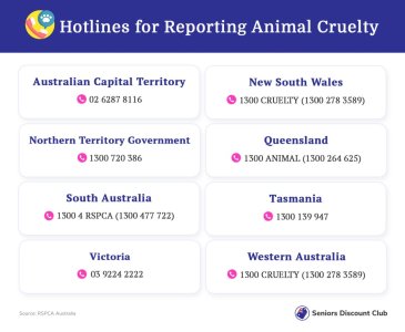 Hotlines for Reporting Animal Cruelty.jpg