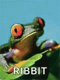 frog-ribbit.gif