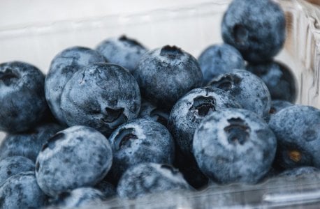 blueberries-7470077_1280.jpg