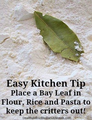 Easy Kitchen Tip - Keeping Weevils Out of Flour, Rice and Pasta - One Hundred Dollars a Month....jpg