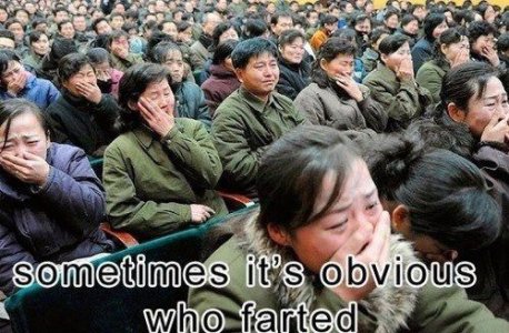23554-who farted.jpg