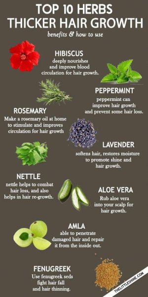 NATURAL HAIR PERFUME - for moisturized and beautifully scented hair - The Little Shine.jpeg.jpg
