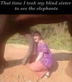 Blind sister and the Elephant with five legs.jpg