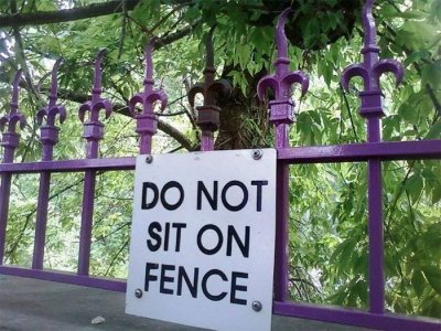 sit on fence.jpg