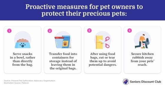 Proactive measures for pet owners to protect their precious pets-.jpg