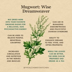 Mugwort_Herb_Benefits_Infographic-1.jpg