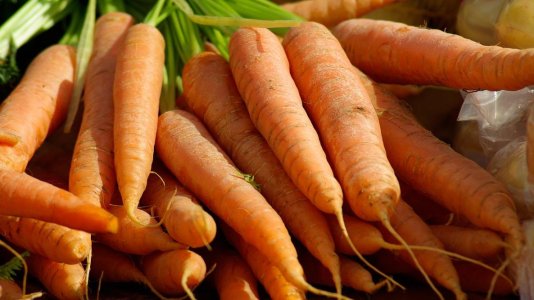 carrots-673201_1280.jpg