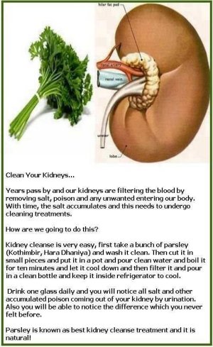 healthy kidneys – PlanetJoy_ Otherworldly Massages for Women & Planet-Friendly Collages for E...jpeg