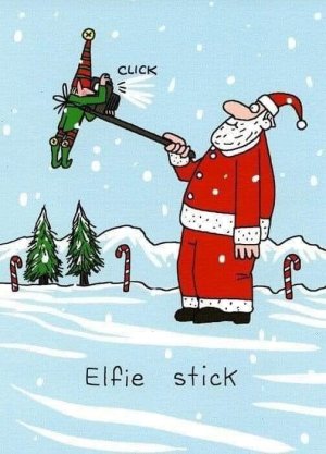 Elfie Stick.jpg