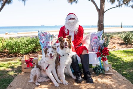 SantaPaws2023-71.jpg.jpeg