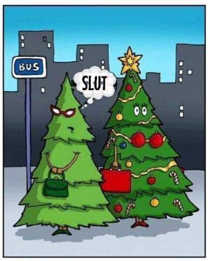 xmas trees.jpg